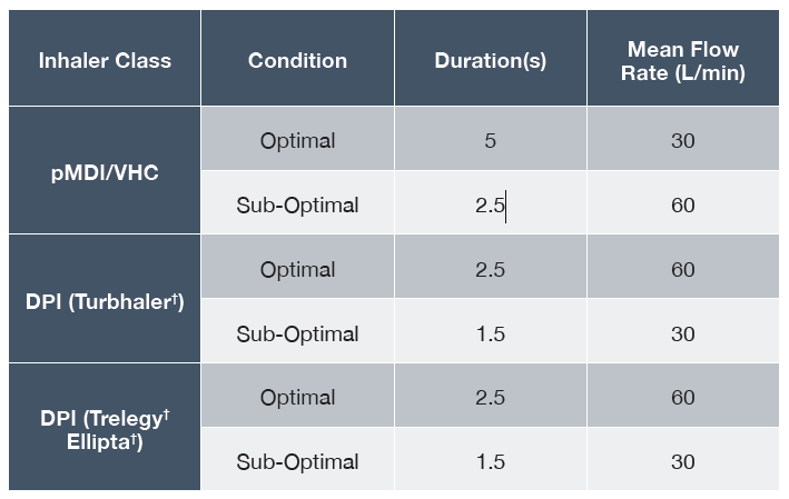 Fluidda 2022 DDL table 1