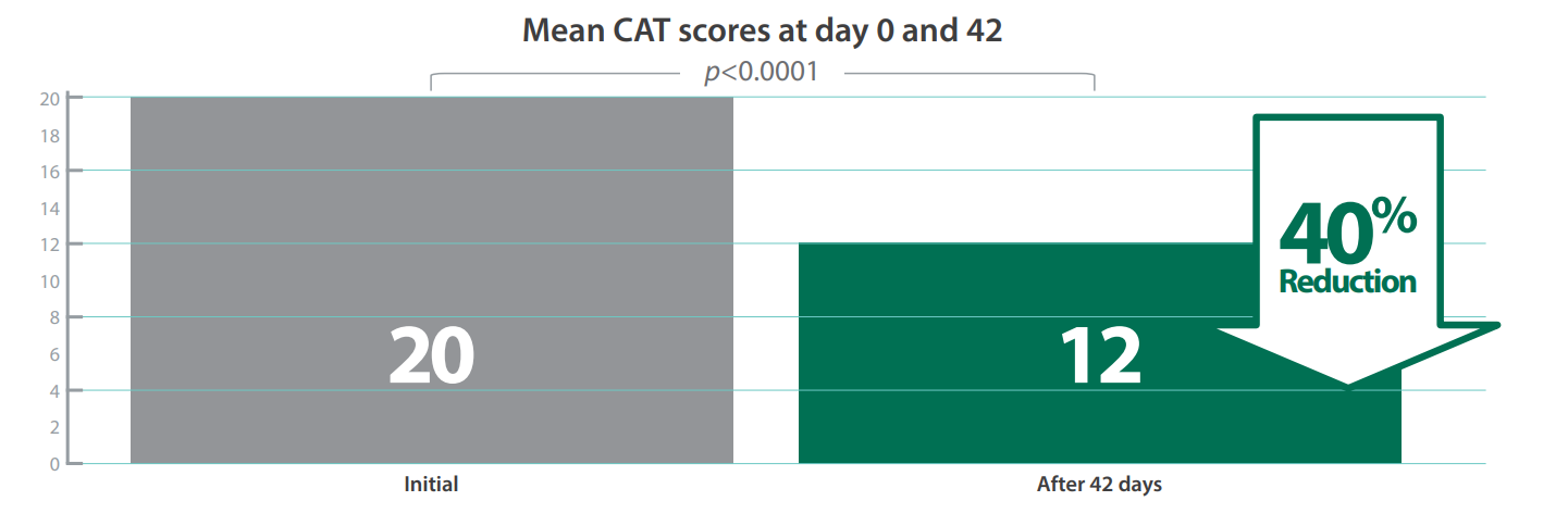 Mean CAT scores at day 0 and 42