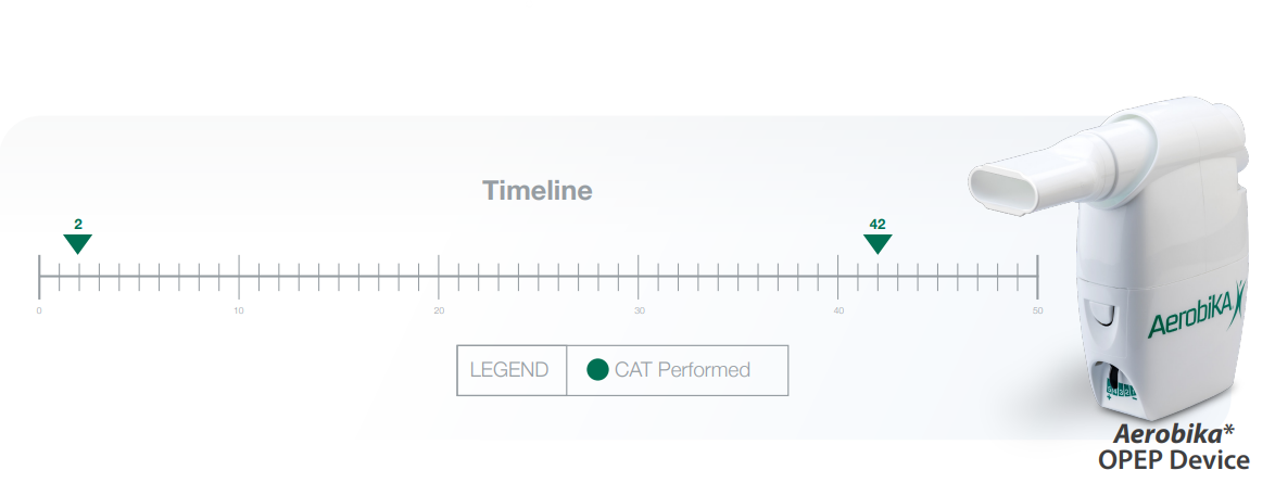 Timeline of Study