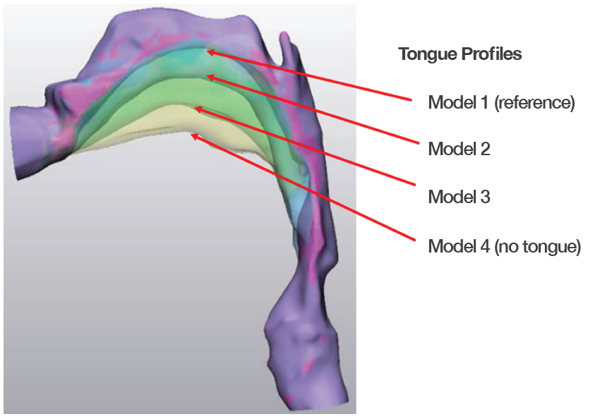 tongue model