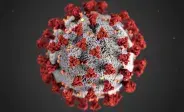 diagram of coronavirus