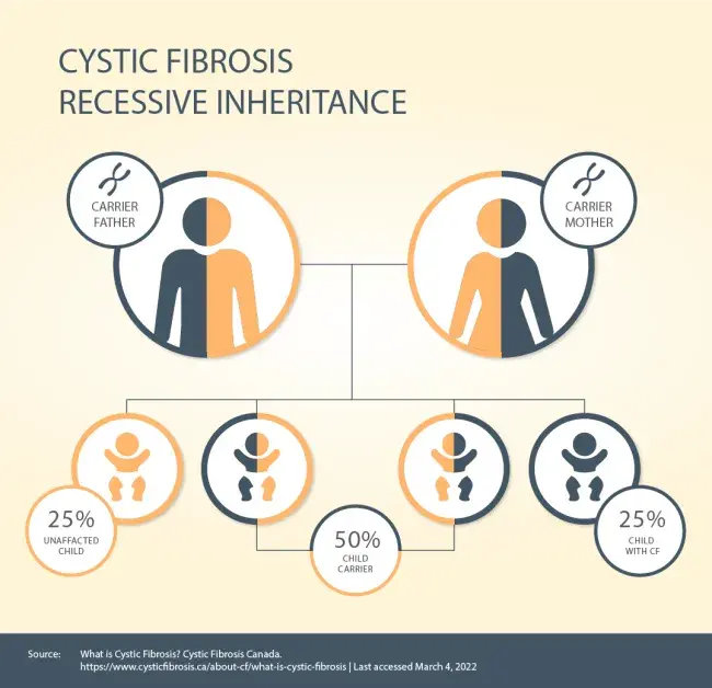 diagram showing recessive inheritance of genes for cystic fibrosis