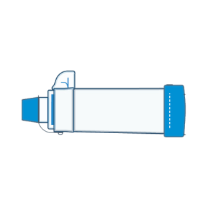 AEROCHAMBER PLUS* FLOW-VU* Chamber 